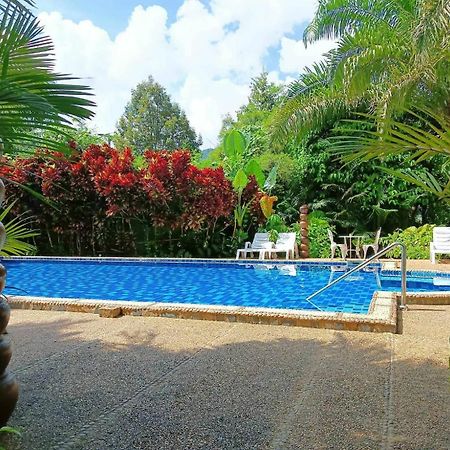 Hotel Khaosok And Spa Khao Sok National Park Ngoại thất bức ảnh
